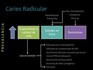 Caries Radicular
Expectativas y
calidad de
vida
Dientes en
boca
Recesiones
Prevención
PREVALENCIA
ADULTO MAYOR
Dificultad con motricidad fina
Dificultad en comprensión de IHO
Disminución del tono muscular peri bucal
Uso de PPR con desajuste
Disminución de flujo salival
Aumento de dieta cariogénica
Fármacos
Ttos. Periodontales
Rehabilitación
Piercing
Ortodoncia
 
