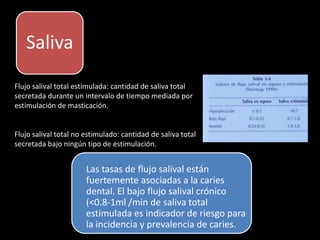 Saliva
Flujo salival total estimulada: cantidad de saliva total
secretada durante un intervalo de tiempo mediada por
estimulación de masticación.
Flujo salival total no estimulado: cantidad de saliva total
secretada bajo ningún tipo de estimulación.
Las tasas de flujo salival están
fuertemente asociadas a la caries
dental. El bajo flujo salival crónico
(<0.8-1ml /min de saliva total
estimulada es indicador de riesgo para
la incidencia y prevalencia de caries.
 