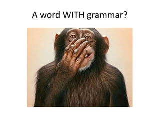 A word WITH grammar?
 