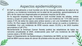 Aspectos epidemiológicos
El CaP es actualmente a nivel mundial uno de los mayores problemas de salud en los
varones y su incidencia incrementa con la edad de los pacientes, aproximadamente el
90% de los casos son diagnosticados en personas mayores de 65 años.
Es la segunda neoplasia más frecuente a nivel mundial (todas las edades, ambos
sexos) y ocupa el cuarto lugar en mortalidad. Con una incidencia de 1 414 259 nuevos
casos (7.3% de todos los casos para ambos sexos) y con una mortalidad de 375 304
(3.8%). En Perú según GLOBOCAN 2020 es el primer cáncer en cuanto a incidencia y
mortalidad. Con una incidencia de 8700 nuevos casos (12.5%) y de 2433 muertes
secundarias a CaP (7%).
Recientemente la American Cancer Society publicó las estadísticas de todos los
cánceres actualizadas al 2024, evidenciando para CaP una incidencia de 299 010
nuevos casos y 35 250 muertes.
Según el Departamento de Epidemiología y Estadística del INEN, se han reportado un
total de 8804 nuevos casos de cáncer de próstata entre los años 2000-2024.
 