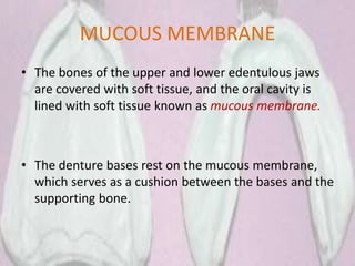 MUCOUS MEMBRANE
• The bones of the upper and lower edentulous jaws
are covered with soft tissue, and the oral cavity is
lined with soft tissue known as mucous membrane.
• The denture bases rest on the mucous membrane,
which serves as a cushion between the bases and the
supporting bone.
 