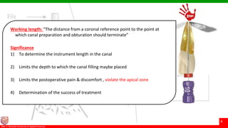 © Ramaiah University of Applied Sciences
4
Faculty of Dental Sciences©M. S. Ramaiah University of Applied Sciences
4
Working length: “The distance from a coronal reference point to the point at
which canal preparation and obturation should terminate”
Significance
1) To determine the instrument length in the canal
2) Limits the depth to which the canal filling maybe placed
3) Limits the postoperative pain & discomfort , violate the apical zone
4) Determination of the success of treatment
 