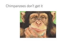 Chimpanzees don’t get it
 