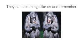 They can see things like us and remember
 