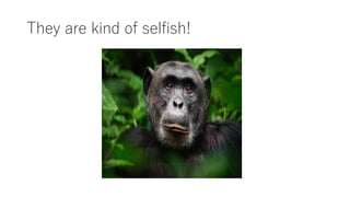 They are kind of selfish!
 