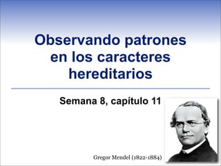 Observando patrones
 en los caracteres
    hereditarios
   Semana 8, capítulo 11




         Gregor Mendel (1822-1884)
 