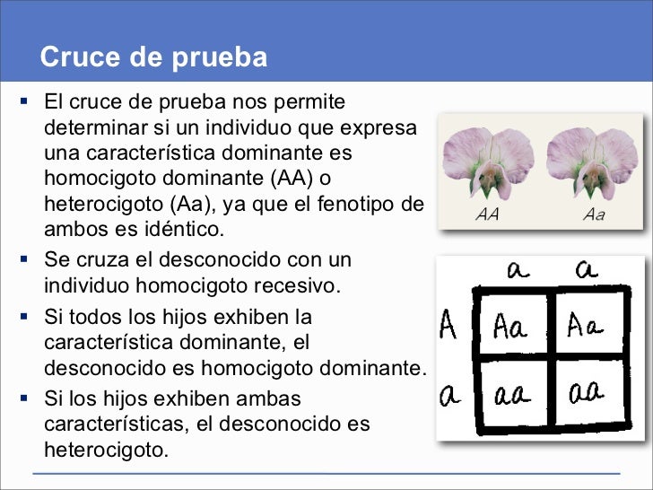 Resultado de imagen de que es cruce de pruebas