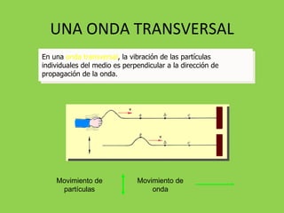 UNA ONDA TRANSVERSAL En una  onda transversal , la vibración de las partículas individuales del medio es perpendicular a la dirección de propagación de la onda. Movimiento de partículas Movimiento de onda 