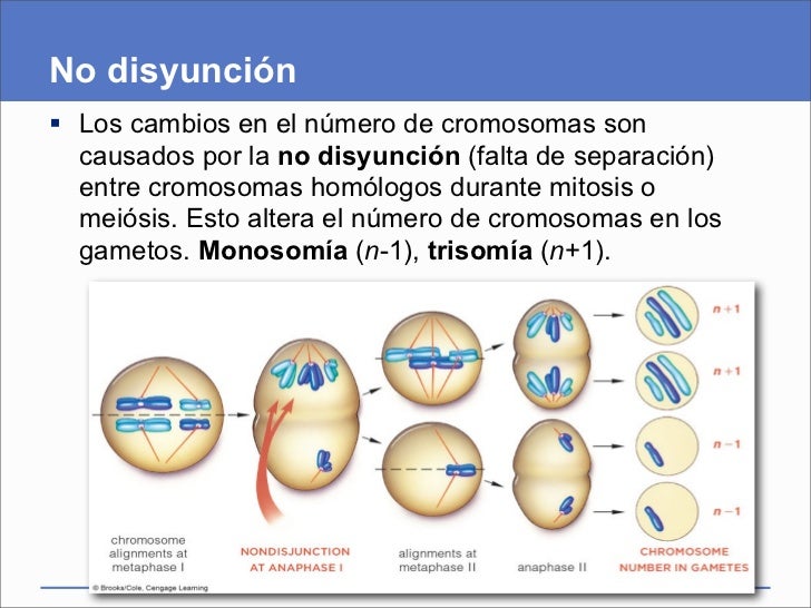 Presentación del capítulo 12