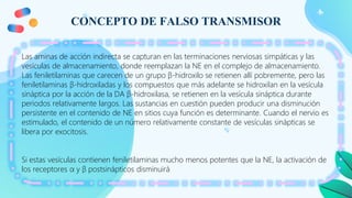 CONCEPTO DE FALSO TRANSMISOR
Las aminas de acción indirecta se capturan en las terminaciones nerviosas simpáticas y las
vesículas de almacenamiento, donde reemplazan la NE en el complejo de almacenamiento.
Las feniletilaminas que carecen de un grupo β-hidroxilo se retienen allí pobremente, pero las
feniletilaminas β-hidroxiladas y los compuestos que más adelante se hidroxilan en la vesícula
sináptica por la acción de la DA β-hidroxilasa, se retienen en la vesícula sináptica durante
periodos relativamente largos. Las sustancias en cuestión pueden producir una disminución
persistente en el contenido de NE en sitios cuya función es determinante. Cuando el nervio es
estimulado, el contenido de un número relativamente constante de vesículas sinápticas se
libera por exocitosis.
Si estas vesículas contienen feniletilaminas mucho menos potentes que la NE, la activación de
los receptores α y β postsinápticos disminuirá
 