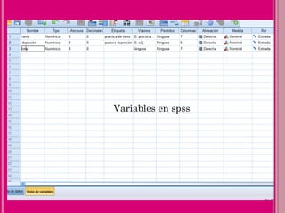 Variables en spss
 