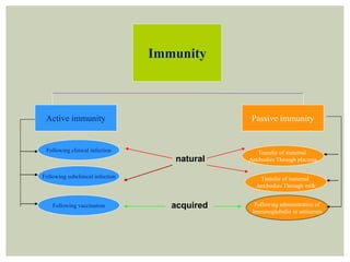 Immunity
Passive immunityActive immunity
Following clinical infection
Following subclinical infection
Following vaccination Following administration of
Immunoglobulin or antiserum
Transfer of maternal
Antibodies Through milk
Transfer of maternal
Antibodies Through placentanatural
acquired
 