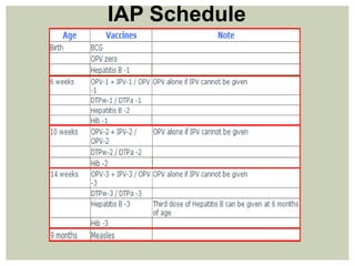 IAP Schedule
 