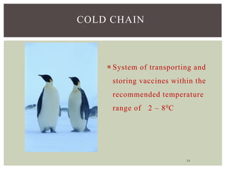 54
COLD CHAIN
 System of transporting and
storing vaccines within the
recommended temperature
range of 2 – 80C
 