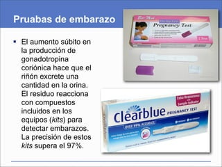 Pruabas de embarazo

 El aumento súbito en
  la producción de
  gonadotropina
  coriónica hace que el
  riñón excrete una
  cantidad en la orina.
  El residuo reacciona
  con compuestos
  incluidos en los
  equipos (kits) para
  detectar embarazos.
  La precisión de estos
  kits supera el 97%.
 