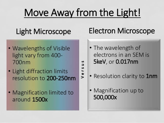 light microscope and electron microscopes essay Home comparison between light and electron microscope comparison between light and electron microscope light microscopes are still. light microscope and electron microscopes essay Home comparison between light and electron microscope comparison between light and electron microscope light microscopes are still.