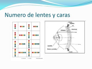 Numero de lentes y caras
 