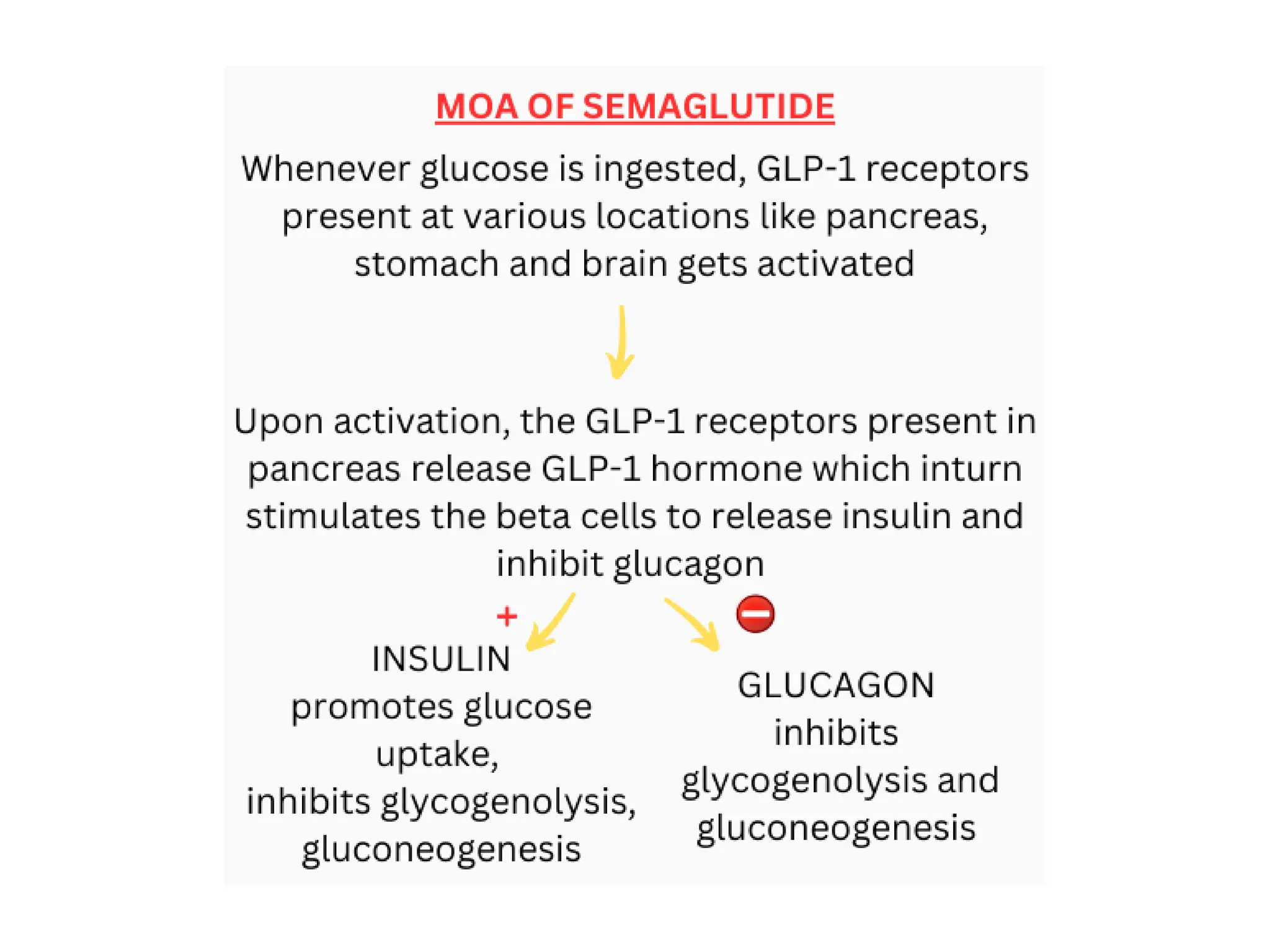 semaglutide moa as a Cornerstone Therapy in Obesity: Clinical and Pharmacological Insights Unveiling the Therapeutic Potential of