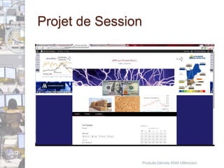 Projet de Session 
Produits Dérivés 4540 UMoncton 
 