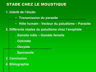 STADE CHEZ LE MOUSTIQUE
1. Intérêt de l’étude:
      • Transmission du parasite
      • Hôte humain - Vecteur du paludisme – Parasite
2. Différents stades du paludisme chez l’anophèle
      . Gamète mâle – Gamète femelle
      . Ookinète
      . Oocyste
      . Sporozoite
3. Conclusion
4. Bibiographie
 