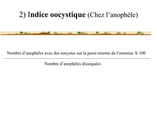 2) Indice oocystique (Chez l’anophèle)



Nombre d’anophèles avec des oocystes sur la paroi externe de l’estomac X 100

                    Nombre d’anophèles disséquées
 