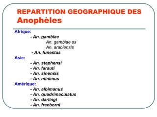 REPARTITION GEOGRAPHIQUE DES
 Anophèles
Afrique:
       - An. gambiae
                 An. gambiae ss
                 An. arabiensis
         - An. funestus
Asie:
       - An. stephensi
       - An. farauti
       - An. sinensis
       - An. minimus
Amérique:
       - An. albimanus
       - An. quadrimaculatus
       - An. darlingi
       - An. freeborni
 