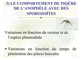 Transmission Du Paludisme Facteurs Influencant Le Passage Du Parasit