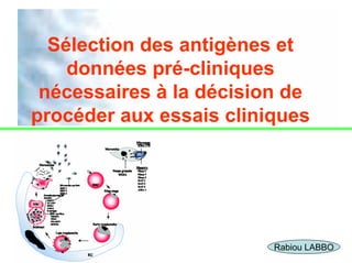 Sélection des antigènes et
    données pré-cliniques
 nécessaires à la décision de
procéder aux essais cliniques




                                    1
                         Rabiou LABBO
 