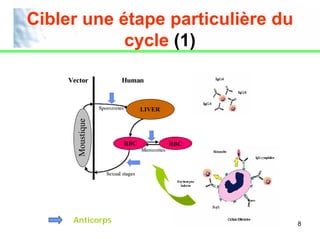 Cibler une étape particulière du
            cycle (1)


                        LIVER
      Moustique




                  RBC           RBC




     Anticorps                        8
 