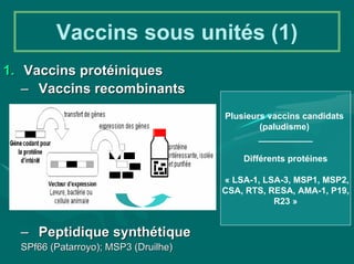 Vaccins sous unités (1)
1. Vaccins protéiniques
   – Vaccins recombinants
                                      Plusieurs vaccins candidats
                                              (paludisme)
                                              ___________

                                          Différents protéines

                                      « LSA-1, LSA-3, MSP1, MSP2,
                                      CSA, RTS, RESA, AMA-1, P19,
                                                 R23 »


  – Peptidique synthétique
  SPf66 (Patarroyo); MSP3 (Druilhe)
 