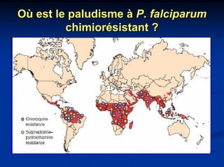 Où est le paludisme à P. falciparum
         chimiorésistant ?
 