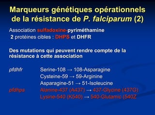 Marqueurs génétiques opérationnels
de la résistance de P. falciparum (2)
Association sulfadoxine-pyriméthamine
2 protéines cibles : DHPS et DHFR

Des mutations qui peuvent rendre compte de la
résistance à cette association

pfdhfr      Serine-108 → 108-Asparagine
            Cysteine-59 → 59-Arginine
            Asparagine-51 → 51-Isoleucine
pfdhps      Alanine-437 (A437) → 437-Glycine (437G)
            Lysine-540 (K540) → 540-Glutamic (540Z
 