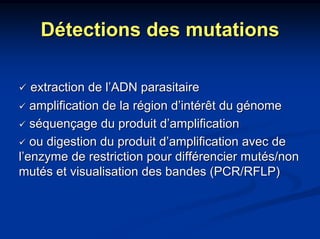 Détections des mutations

   extraction de l’ADN parasitaire
   amplification de la région d’intérêt du génome
   séquençage du produit d’amplification
   ou digestion du produit d’amplification avec de
l’enzyme de restriction pour différencier mutés/non
mutés et visualisation des bandes (PCR/RFLP)
 