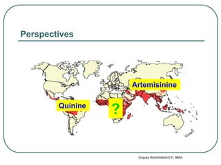 Perspectives




                      Artemisinine

        Quinine
                  ?


                       D’après RASOANAIVO P, IMRA
 