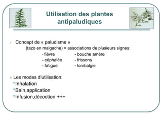 Utilisation des plantes
                    antipaludiques


 Concept de « paludisme »
     (tazo en malgache) = associations de plusieurs signes:
              - fièvre       - bouche amère
              - céphalée     - frissons
              - fatigue      - lombalgie

Les modes d’utilisation:
•Inhalation
•Bain,application
•Infusion,décoction +++
 