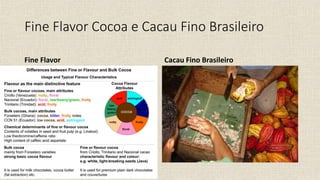 Fine Flavor Cocoa e Cacau Fino Brasileiro
Fine Flavor Cacau Fino Brasileiro
 