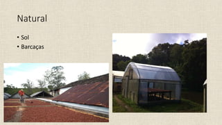 Natural
• Sol
• Barcaças
 