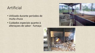 Artificial
• Utilizado durante períodos de
muita chuva
• Cuidados especiais quanto à
alteraçoes de sabor - fumaça
 