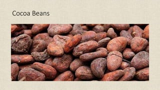 Cocoa Beans
 