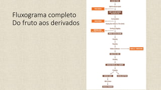 Fluxograma completo
Do fruto aos derivados
 