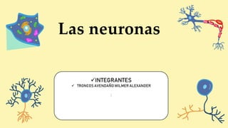 Las neuronas
INTEGRANTES
 TRONCOS AVENDAÑO WILMER ALEXANDER
:
 