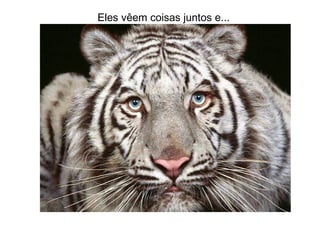 Eles vêem coisas juntos e... 