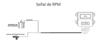 Conexión Sensor de Temperatura , Map y Electroválvula
ECU
 