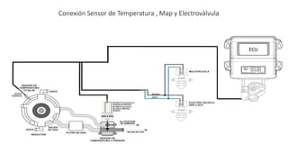 Conexión al Sensor Lambda
ECU
 
