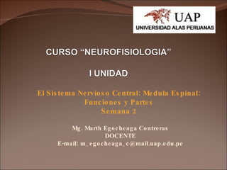 Mg. Marth Egocheaga Contreras DOCENTE E-mail: m_egocheaga_c@mail.uap.edu.pe El Sistema Nervioso Central: Medula Espinal: Funciones y Partes Semana 2 