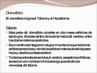 Diencéfalo El diencéfalo origina el Tálamo y el Hipotálamo: Tálamo : Esta parte del diencéfalo consiste en dos masas esféricas de tejido gris, situadas dentro de la zona media del cerebro, entre los dos hemisferios cerebrales.  Es un centro de integración de gran importancia que recibe las señales sensoriales y donde las señales motoras de salida pasan hacia y desde la corteza cerebral.  Todas las entradas sensoriales al cerebro, excepto las olfativas, se asocian con núcleos individuales (grupos de células nerviosas) del tálamo. 
