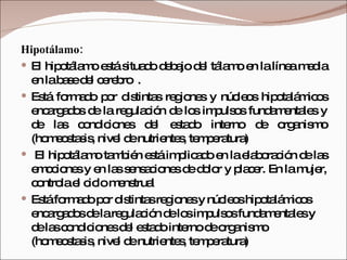 Hipotálamo: El hipotálamo está situado debajo del tálamo en la línea media en la base del cerebro  .  Está formado por distintas regiones y núcleos hipotalámicos encargados de la regulación de los impulsos fundamentales y de las condiciones del estado interno de organismo (homeostasis, nivel de nutrientes, temperatura) El hipotálamo también está implicado en la elaboración de las emociones y en las sensaciones de dolor y placer. En la mujer, controla el ciclo menstrual Está formado por distintas regiones y núcleos hipotalámicos encargados de la regulación de los impulsos fundamentales y de las condiciones del estado interno de organismo (homeostasis, nivel de nutrientes, temperatura) 