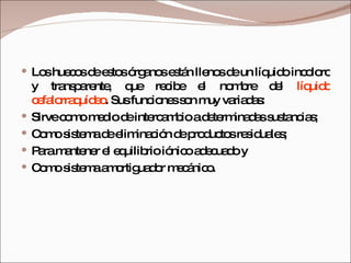 Los huecos de estos órganos están llenos de un líquido incoloro y transparente, que recibe el nombre del  líquido cefalorraquídeo . Sus funciones son muy variadas:  Sirve como medio de intercambio a determinadas sustancias;  Como sistema de eliminación de productos residuales;  Para mantener el equilibrio iónico adecuado y  Como sistema amortiguador mecánico. 