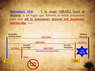    Se sacrificaban cerdos en el Altar del Templo