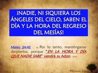    Surgió la rebelión de Judas Macabeos